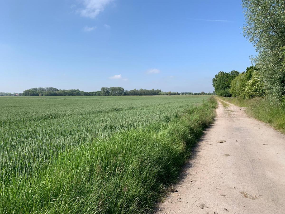 De Scheure, Charmant Vakantiehuisje Midden In De Natuur Alveringem エクステリア 写真